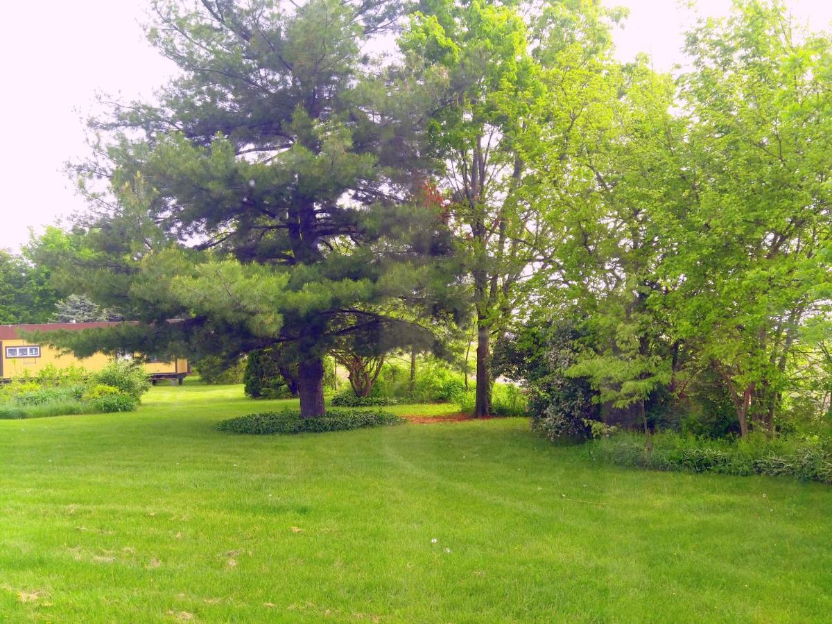 The Usonian Inn Llc Spring Green Eksteriør bilde